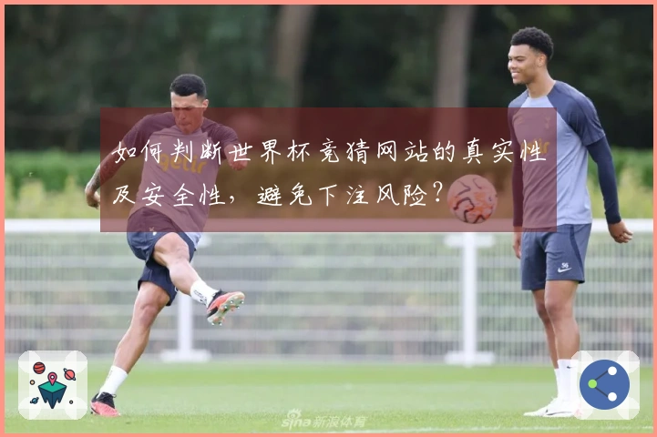 如何判断世界杯竞猜网站的真实性及安全性，避免下注风险？