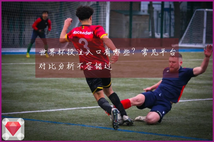 世界杯投注入口有哪些？常见平台对比分析不容错过