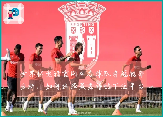 世界杯竞猜官网中各球队夺冠概率分析，如何选择最靠谱的下注平台？