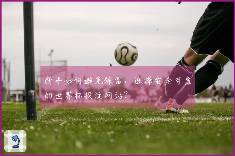 新手如何避免踩雷，选择安全可靠的世界杯投注网站？