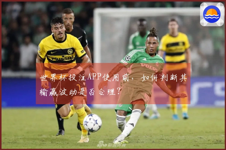 世界杯投注APP使用前，如何判断其输赢波动是否合理？