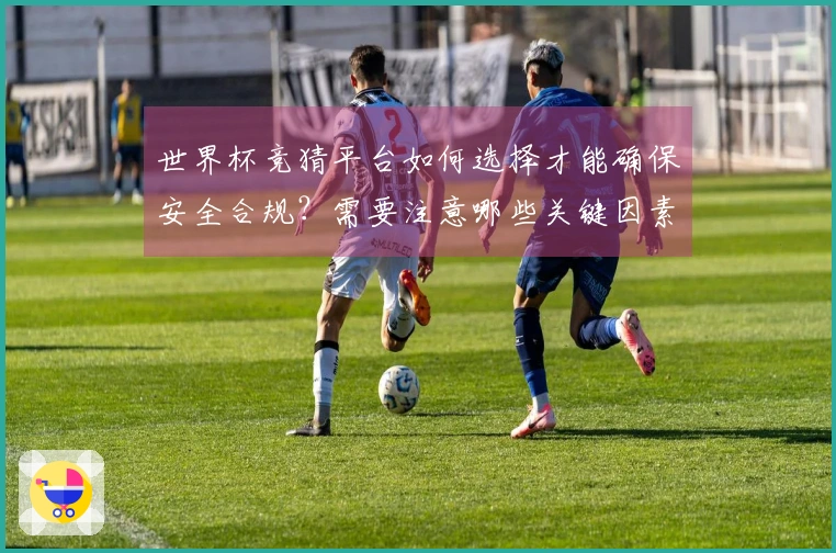 世界杯竞猜平台如何选择才能确保安全合规？需要注意哪些关键因素？