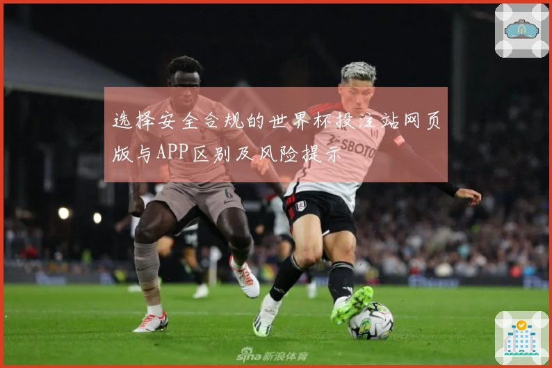 选择安全合规的世界杯投注站网页版与APP区别及风险提示