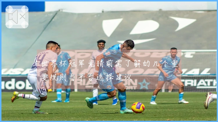 世界杯冠军竞猜前需了解的几个重要规则与平台选择建议