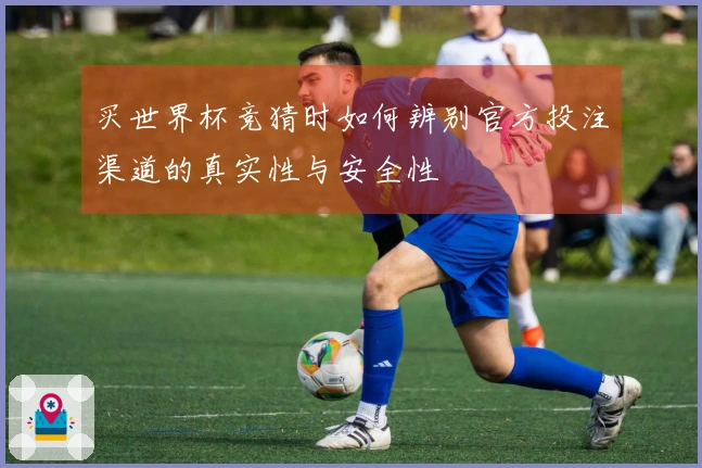 买世界杯竞猜时如何辨别官方投注渠道的真实性与安全性