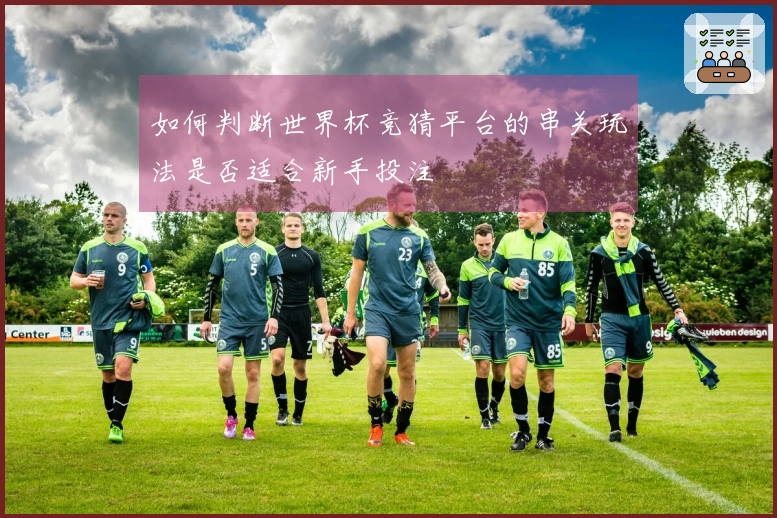 如何判断世界杯竞猜平台的串关玩法是否适合新手投注