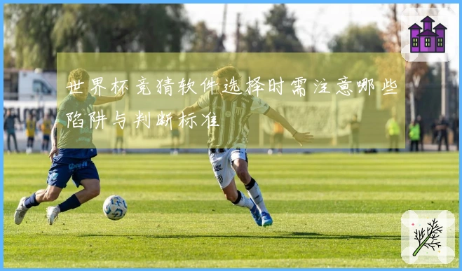 世界杯竞猜软件选择时需注意哪些陷阱与判断标准