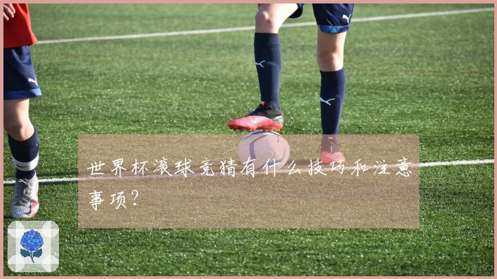 世界杯滚球竞猜有什么技巧和注意事项？