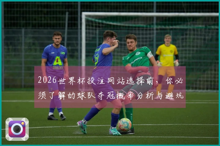 2026世界杯投注网站选择前，你必须了解的球队夺冠概率分析与避坑指南