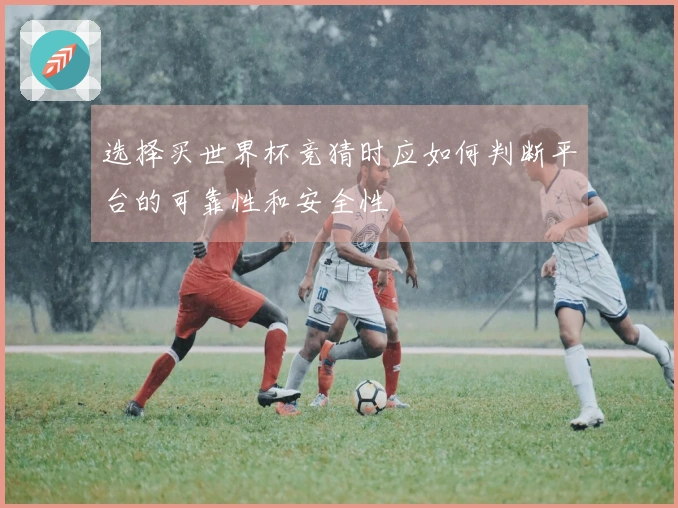 选择买世界杯竞猜时应如何判断平台的可靠性和安全性