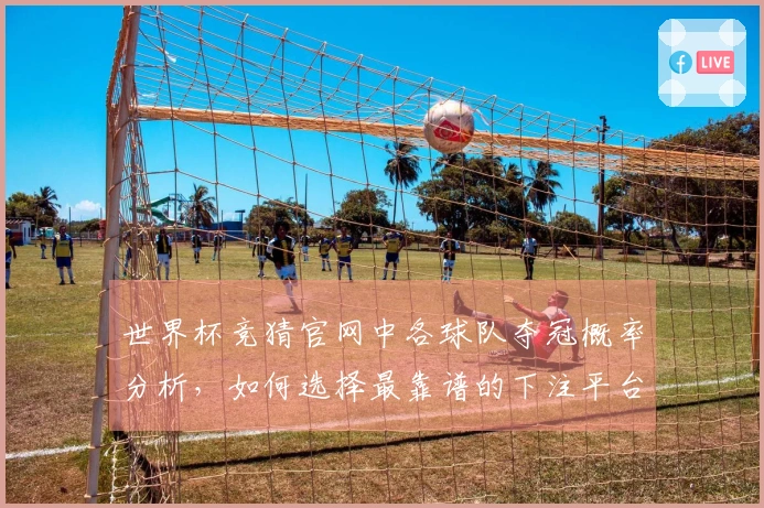 世界杯竞猜官网中各球队夺冠概率分析，如何选择最靠谱的下注平台？