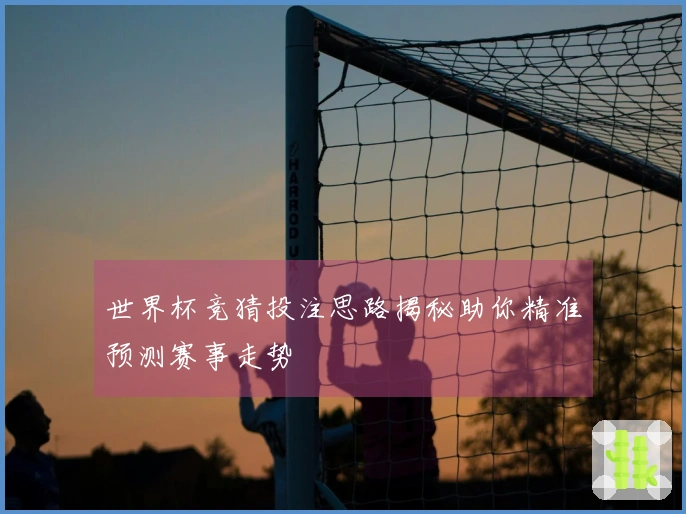 世界杯竞猜投注思路揭秘助你精准预测赛事走势