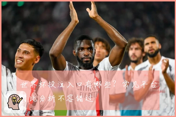 世界杯投注入口有哪些？常见平台对比分析不容错过