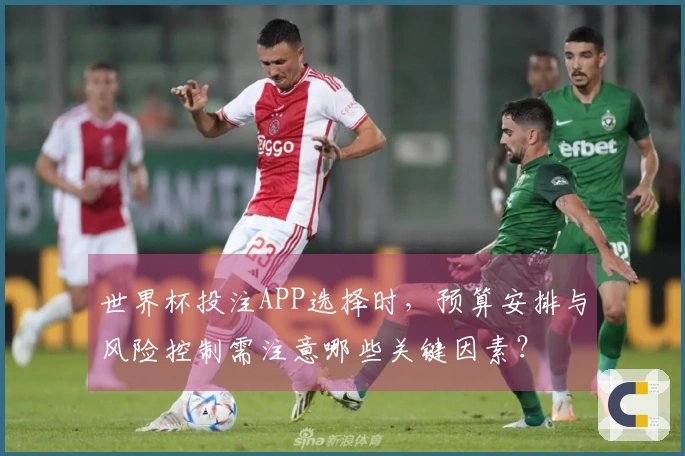 世界杯投注APP选择时，预算安排与风险控制需注意哪些关键因素？