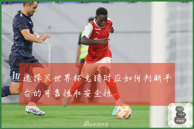 选择买世界杯竞猜时应如何判断平台的可靠性和安全性