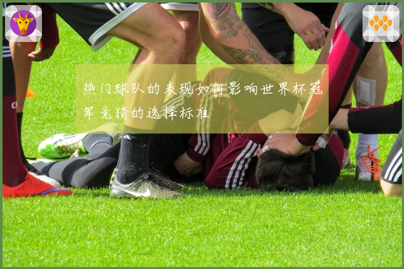 热门球队的表现如何影响世界杯冠军竞猜的选择标准