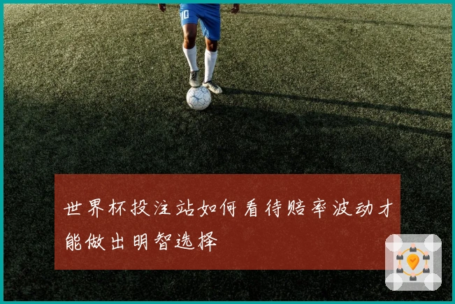世界杯投注站如何看待赔率波动才能做出明智选择