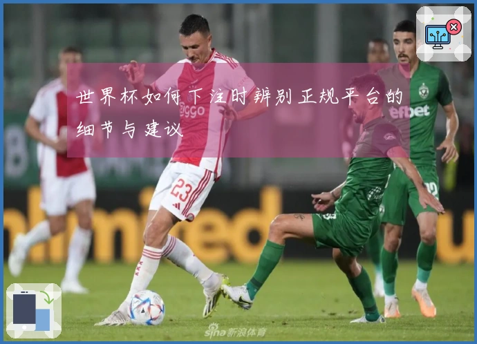 世界杯如何下注时辨别正规平台的细节与建议