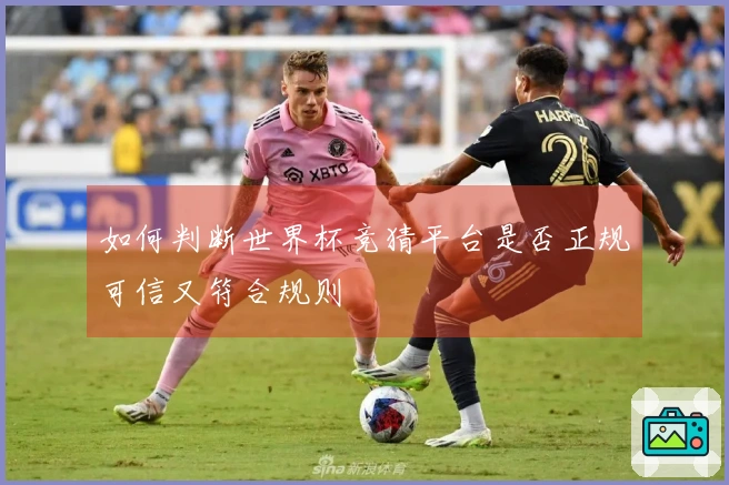 如何判断世界杯竞猜平台是否正规可信又符合规则