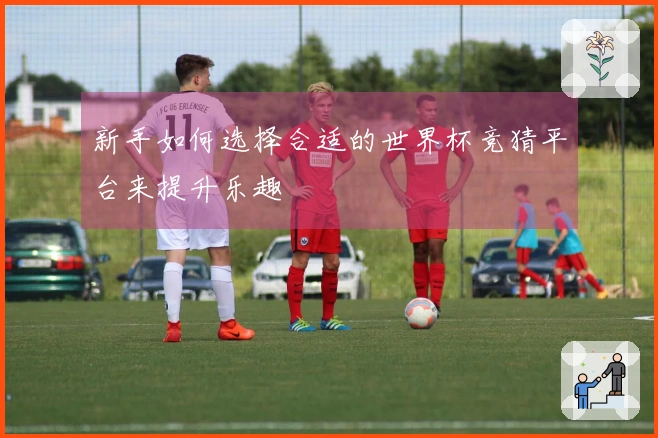 新手如何选择合适的世界杯竞猜平台来提升乐趣