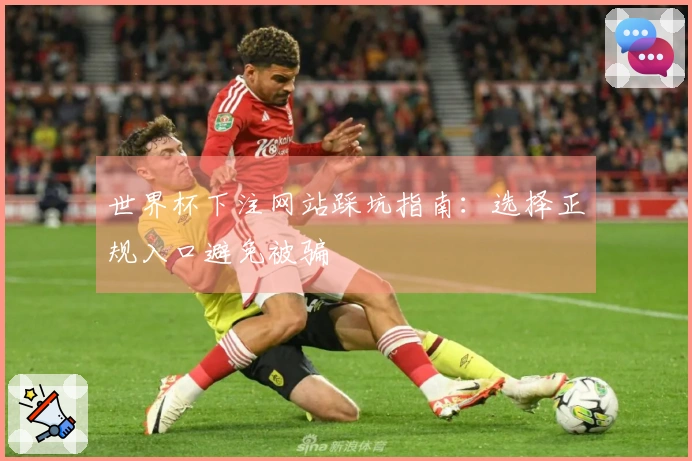 世界杯下注网站踩坑指南：选择正规入口避免被骗