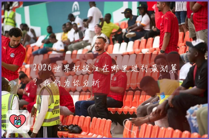 2026世界杯投注在哪里进行最划算？我们为你分析