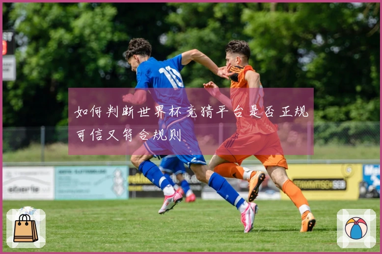 如何判断世界杯竞猜平台是否正规可信又符合规则