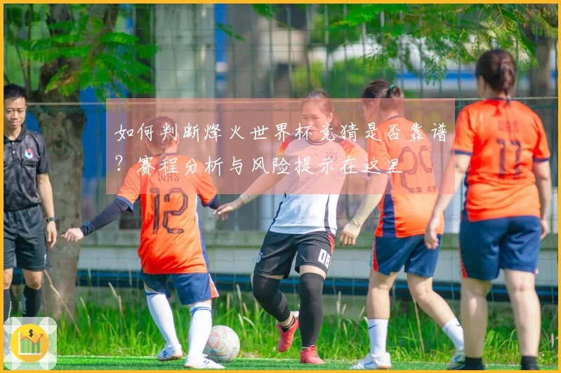 如何判断烽火世界杯竞猜是否靠谱？赛程分析与风险提示在这里