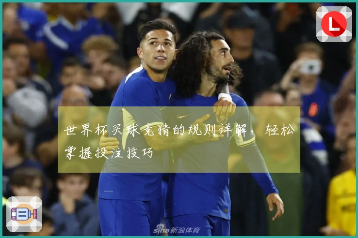 世界杯买球竞猜的规则详解，轻松掌握投注技巧