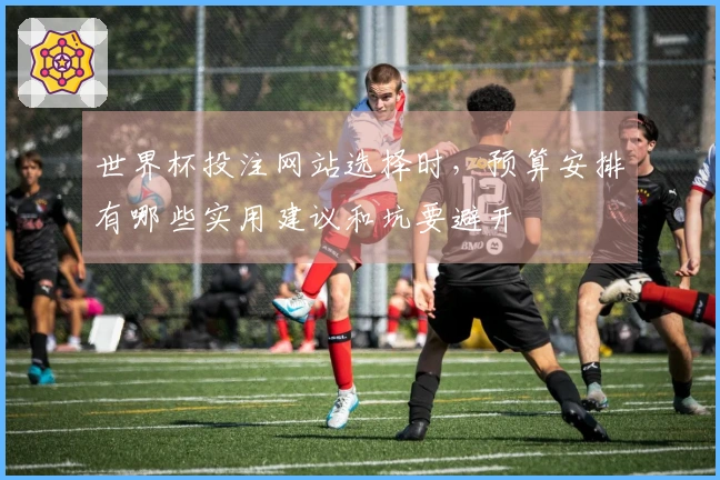 世界杯投注网站选择时，预算安排有哪些实用建议和坑要避开