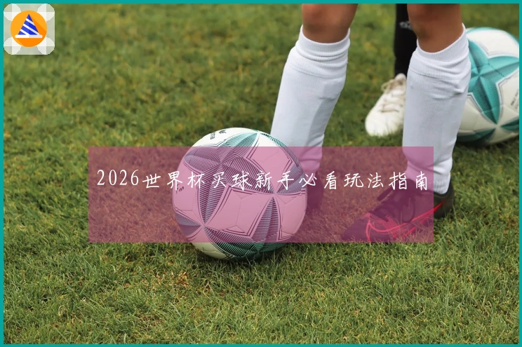 2026世界杯买球新手必看玩法指南