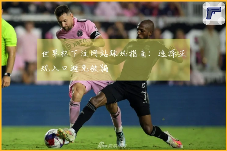 世界杯下注网站踩坑指南：选择正规入口避免被骗