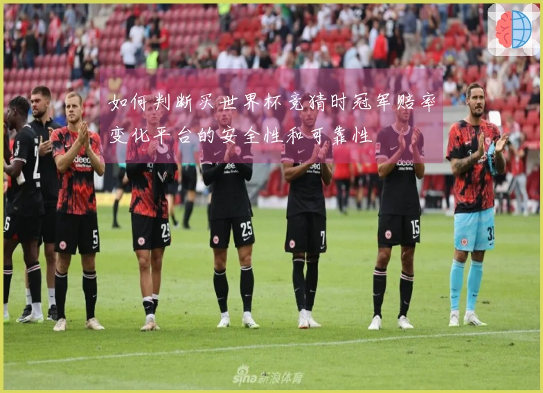 如何判断买世界杯竞猜时冠军赔率变化平台的安全性和可靠性