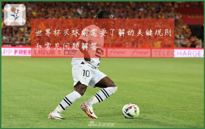 世界杯买球前需要了解的关键规则和常见问题解答