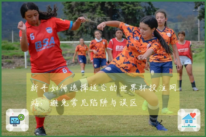 新手如何选择适合的世界杯投注网站，避免常见陷阱与误区