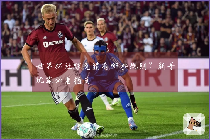 世界杯让球竞猜有哪些规则？新手玩家必看指南